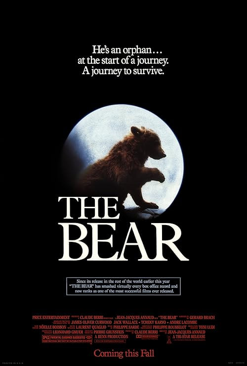 The Bear movie poster