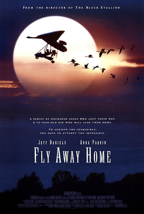 Fly Away Home movie poster