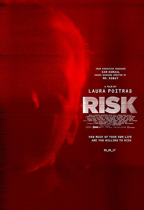 Risk movie poster
