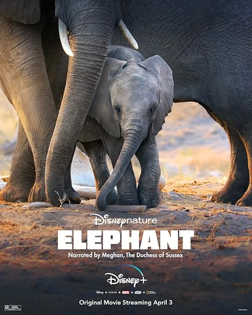 Elephant movie poster