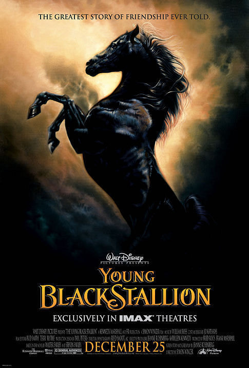 The Young Black Stallion movie poster