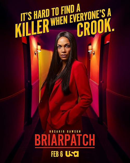Briarpatch movie poster