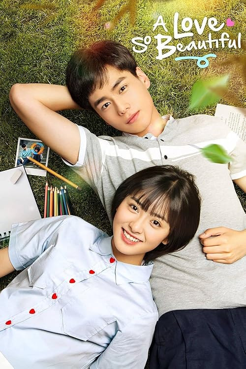 A Love So Beautiful movie poster