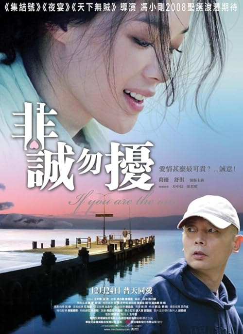 If You Are the One movie poster