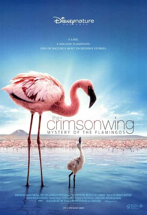 The Crimson Wing: Mystery of the Flamingos movie poster