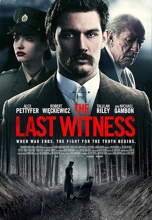 The Last Witness movie poster