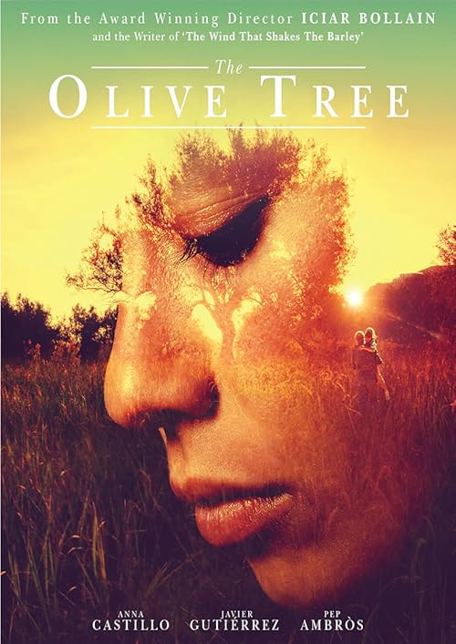 The Olive Tree movie poster