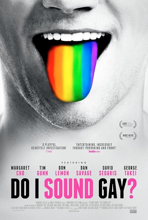 Do I Sound Gay? movie poster