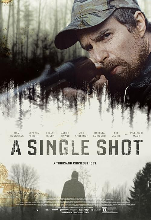 A Single Shot movie poster