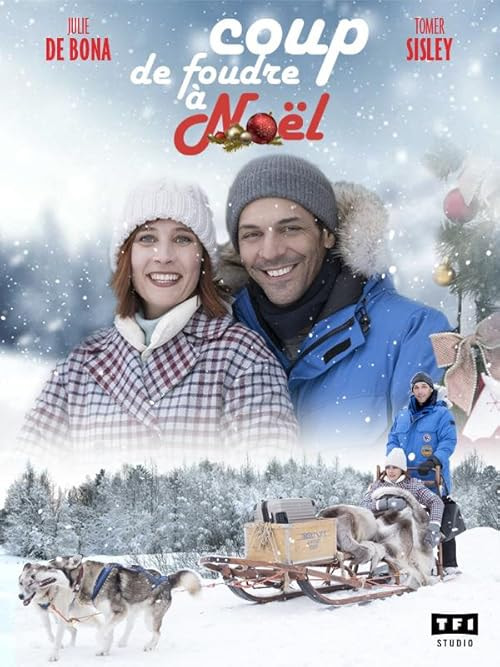 Love in Lapland movie poster