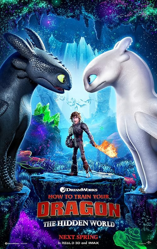 How to Train Your Dragon: The Hidden World movie poster