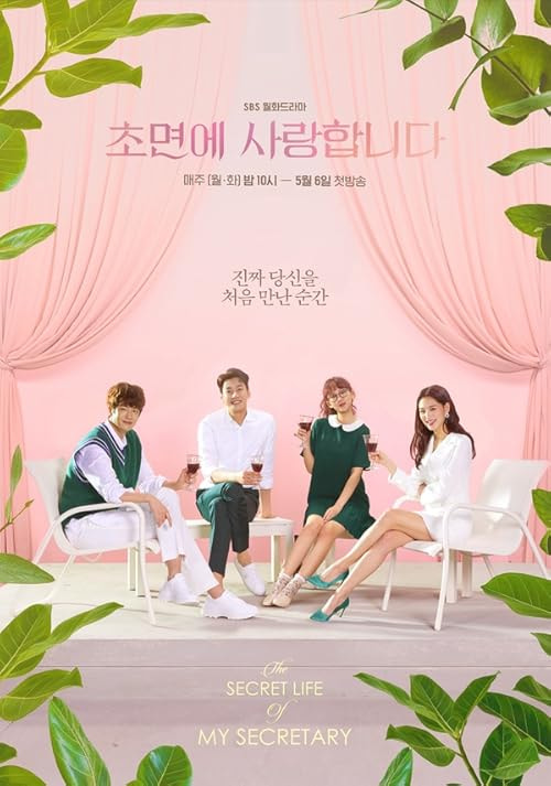 The Secret Life of My Secretary movie poster
