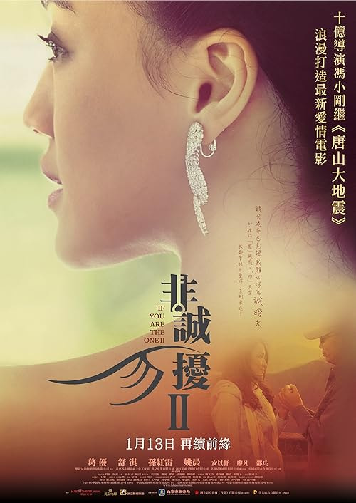 If You Are the One 2 movie poster