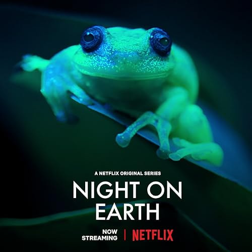 Night on Earth movie poster