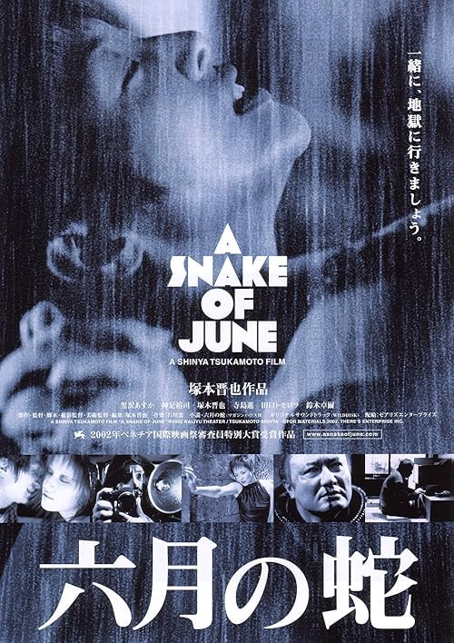 A Snake of June movie poster