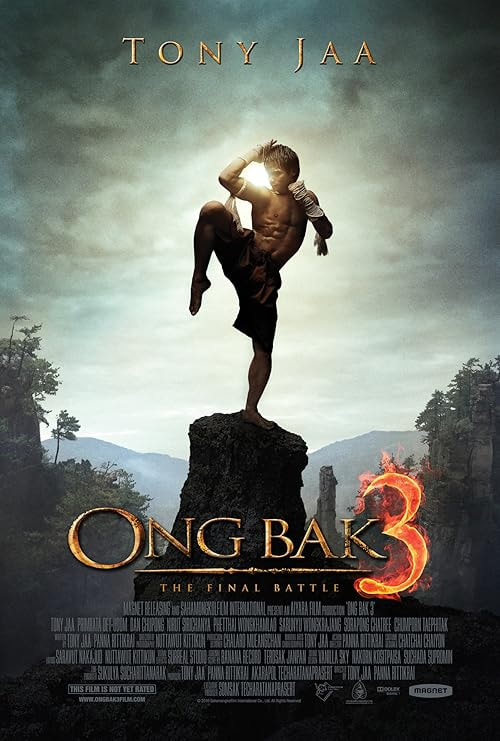 Ong Bak 3 movie poster