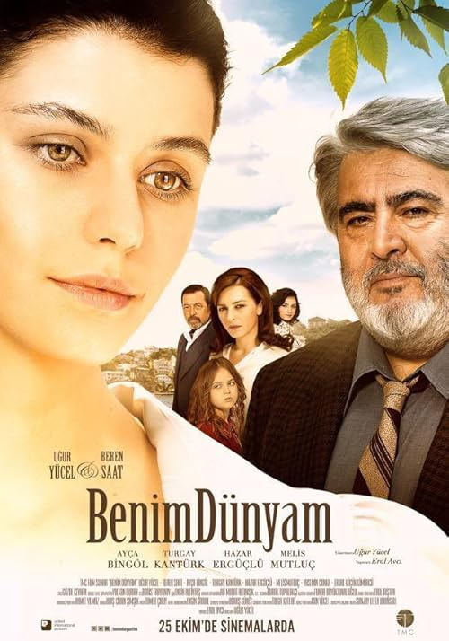 My World movie poster