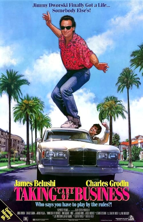Taking Care of Business movie poster