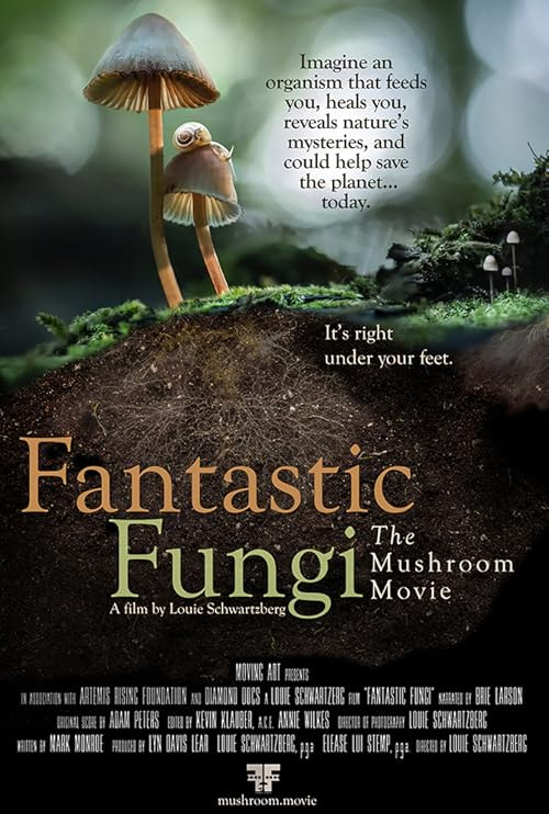 Fantastic Fungi movie poster