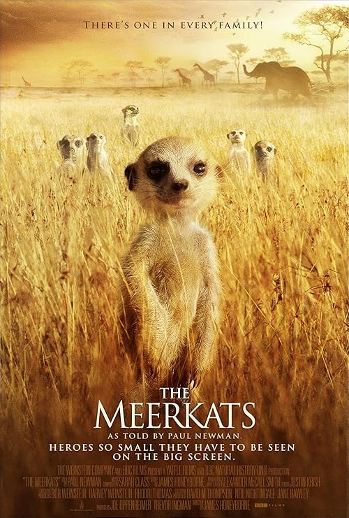 The Meerkats movie poster