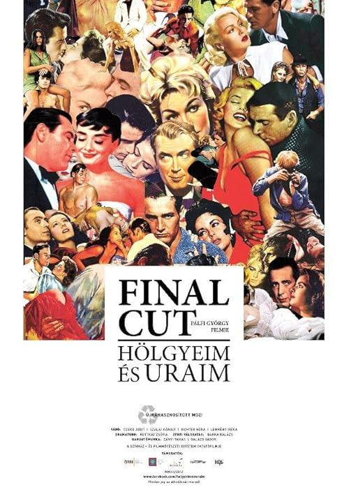 Final Cut: Ladies and Gentlemen movie poster
