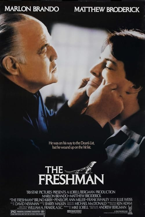 The Freshman movie poster