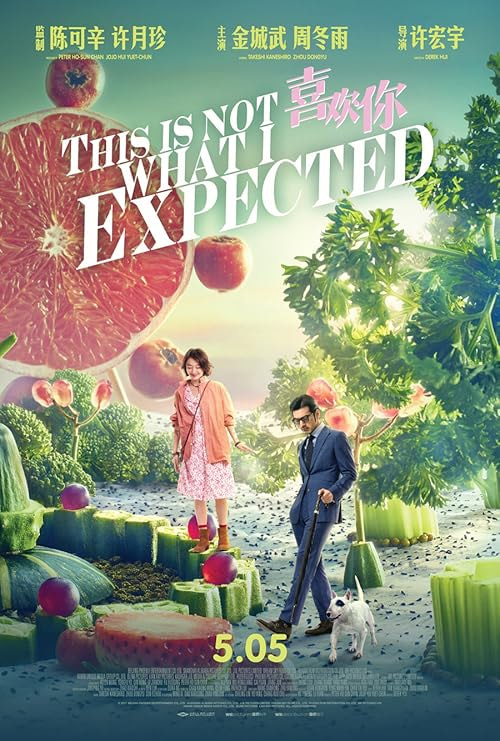 This Is Not What I Expected movie poster