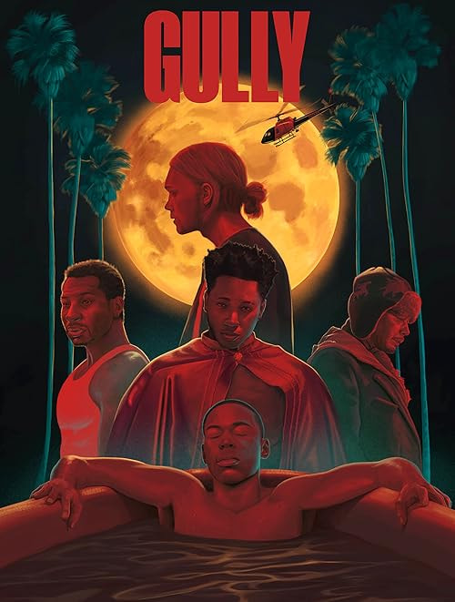 Gully movie poster