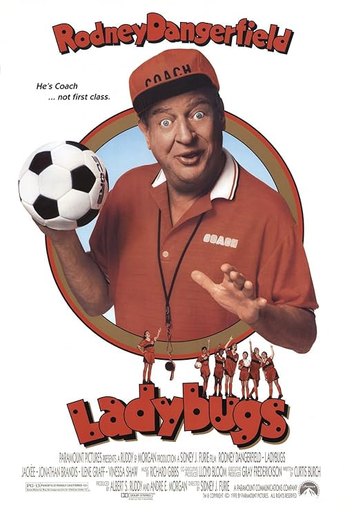 Ladybugs movie poster