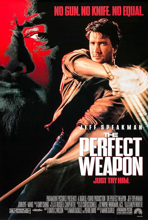 The Perfect Weapon movie poster