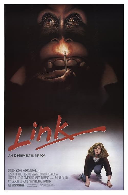 Link movie poster