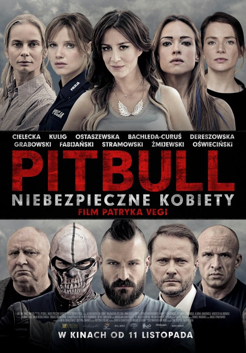 Pitbull: Tough Women movie poster