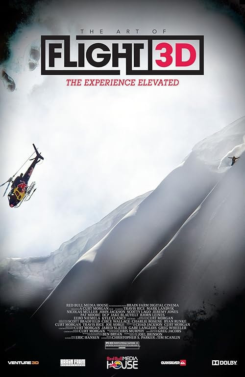 The Art of Flight movie poster