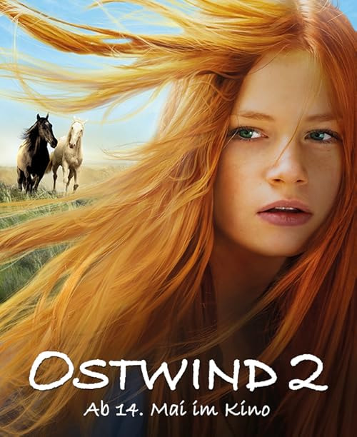 Windstorm 2 movie poster