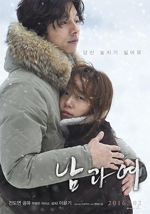 A Man and a Woman movie poster