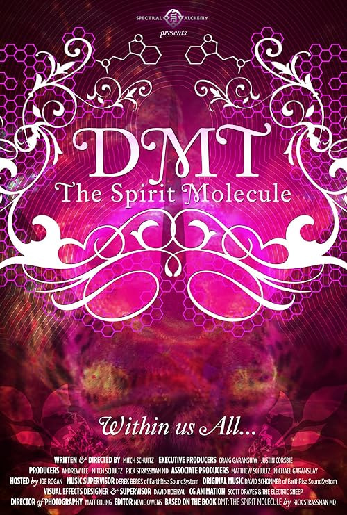 DMT: The Spirit Molecule movie poster
