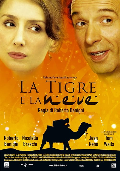The Tiger and the Snow movie poster