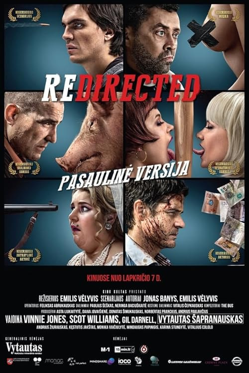 Redirected movie poster