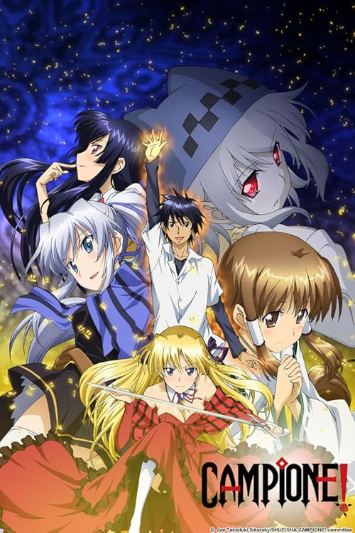 Campione! movie poster