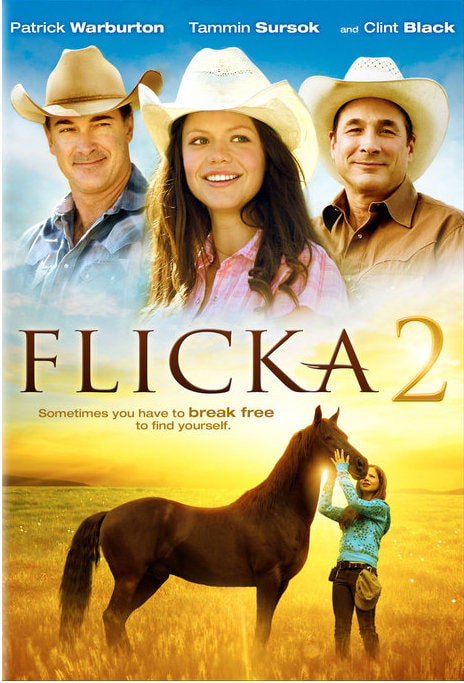 Flicka 2 movie poster
