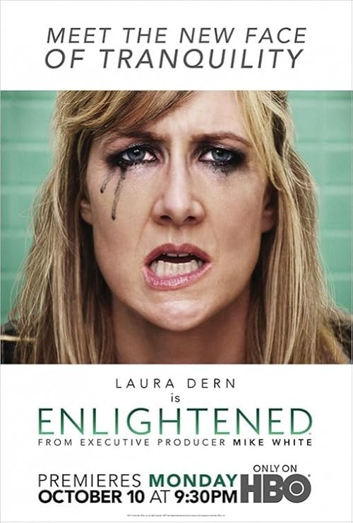 Enlightened movie poster