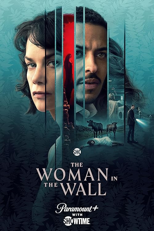 The Woman in the Wall movie poster