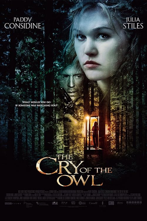 The Cry of the Owl movie poster