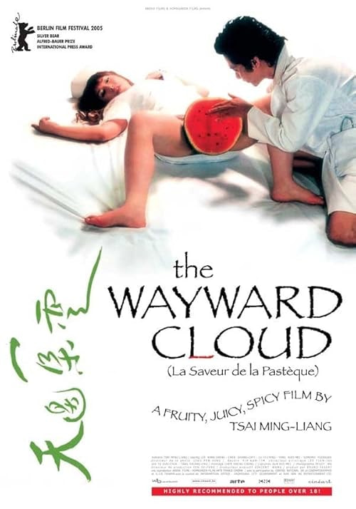 The Wayward Cloud movie poster
