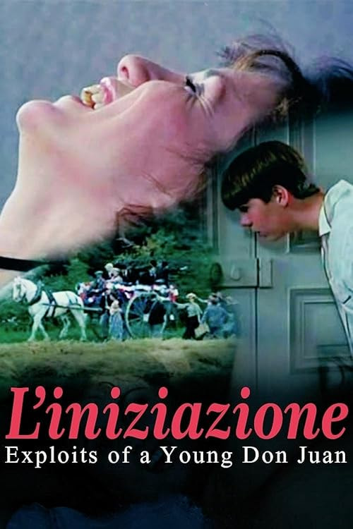 What Every Frenchwoman Wants movie poster