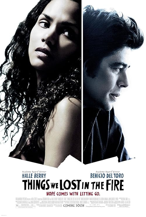 Things We Lost in the Fire movie poster