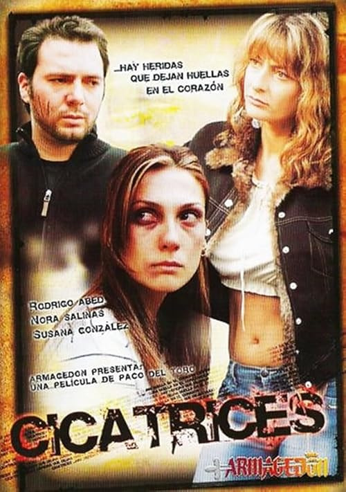 Cicatrices movie poster