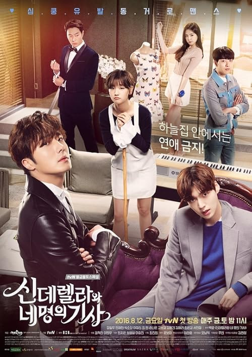 Cinderella and the Four Knights movie poster