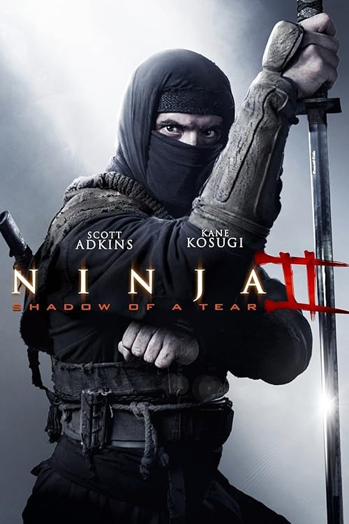 Ninja: Shadow of a Tear movie poster