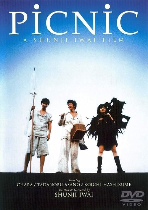 Picnic movie poster